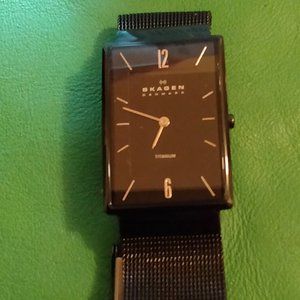 Lovely Skagen Lady's Watch! Titanium!